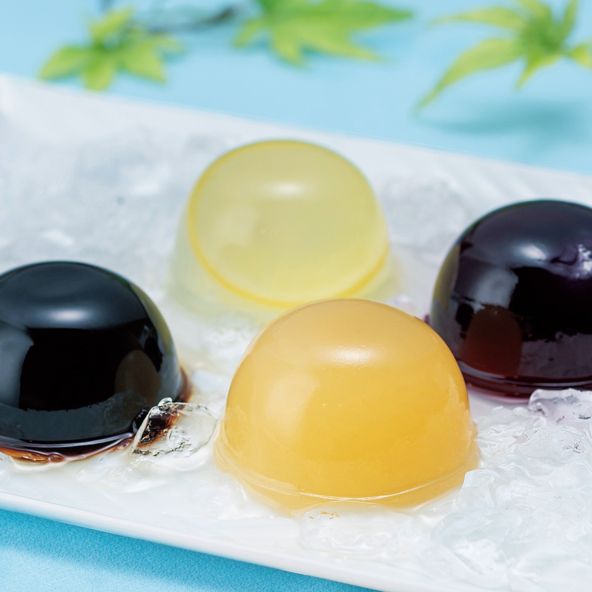 【季節限定】<和風ゼリーと水ようかん詰合せ>夢二の夏 6個入